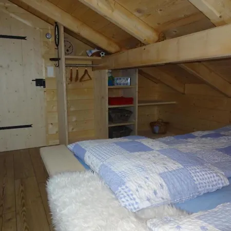 Birki By Interhome Holiday home Axalp