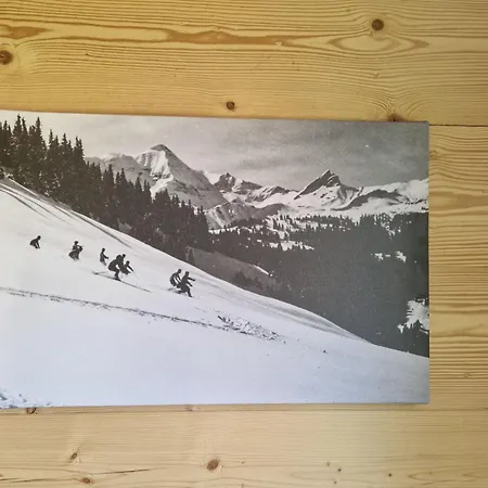 Birki By Interhome Hébergement de vacances Axalp