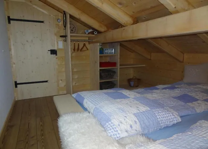 Birki By Interhome Hébergement de vacances Axalp